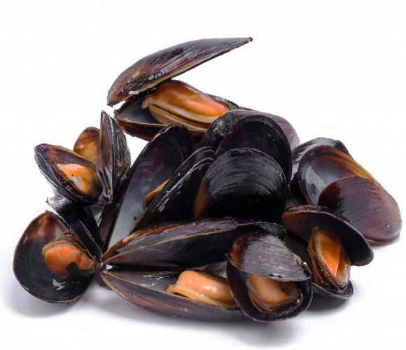 COZZE