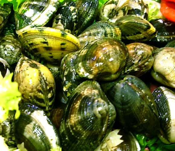 vongole-calabria